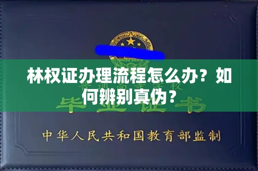 西安林权证办理流程怎么办?如何辨别真伪?