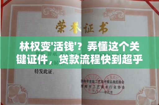 西安林权变'活钱'？弄懂这个关键证件，贷款流程快到超乎想象！